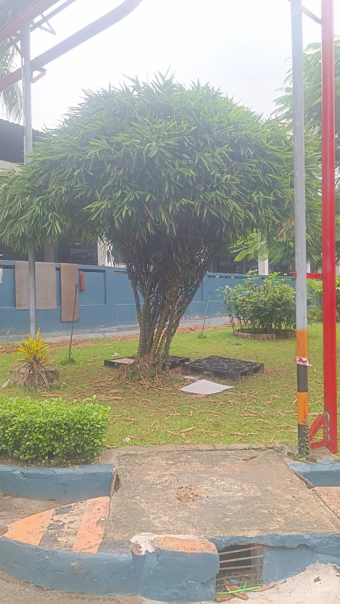Bán đất sổ riêng thổ cư 4x20 (80m²) 750 triệu Tân Triều - Ảnh 1