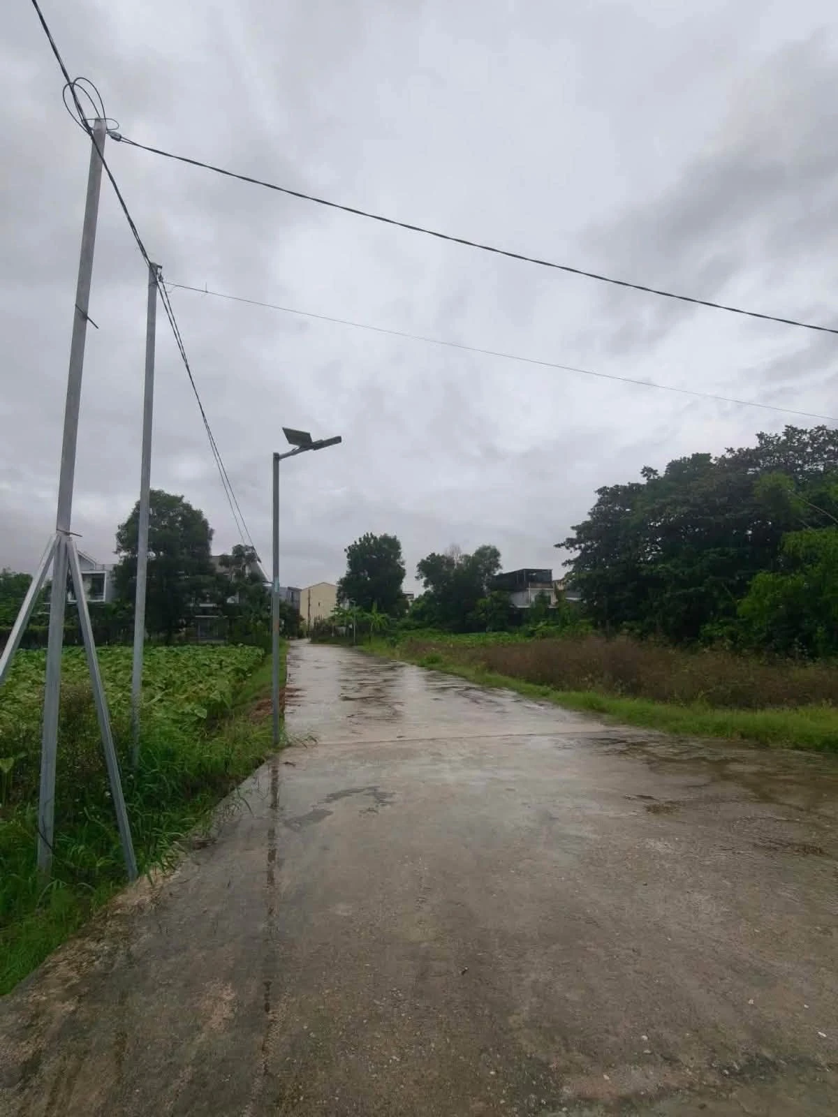 Bán đất góc view đồng lúa Mỹ Thượng, Huế – 81,7m² – 1.9 tỷ - Ảnh 1