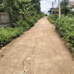 Bán đất nông nghiệp 1004m² 1 tỷ 650 triệu Tây Nguyên - Ảnh thu nhỏ 1
