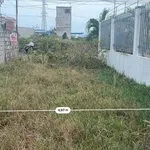 Bán đất kinh doanh Hàm Liêm 137m2, 1 tỷ 2 - Ảnh thu nhỏ 3