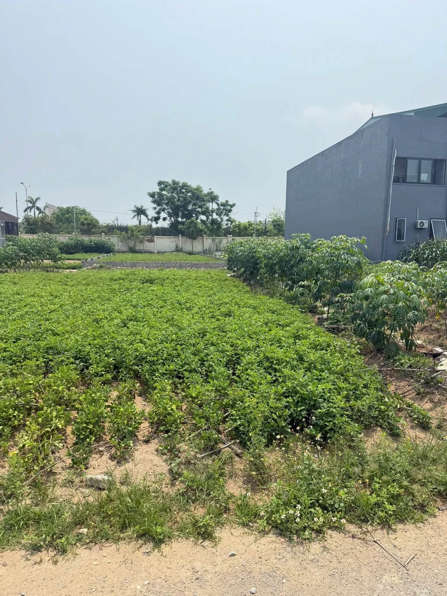 Bán đất 90 m² Nam Liên Nhà Bè, 2 tỷ - Ảnh thu nhỏ 2