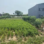 Bán đất 90 m² Nam Liên Nhà Bè, 2 tỷ - Ảnh thu nhỏ 2