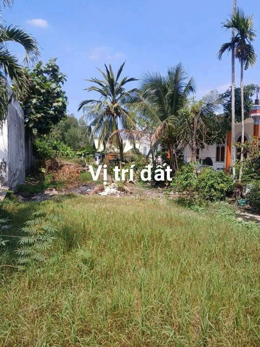 Bán đất mặt tiền TL824 Lương Bình, Bến Lức, Long An, 8x72m, giá 6,5 tỷ - Ảnh thu nhỏ 4