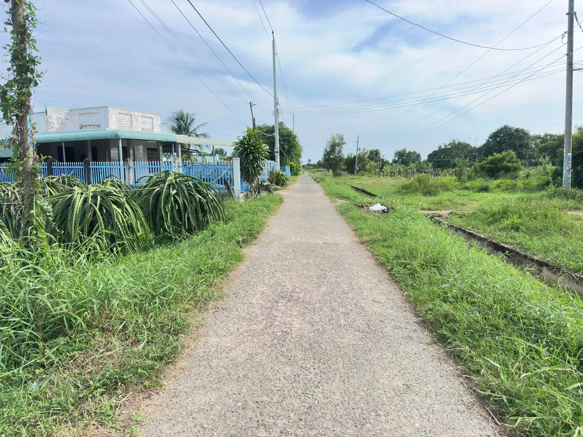 Bán lô đất Hàm Chính 1499m² sổ hồng công chứng - Ảnh 1