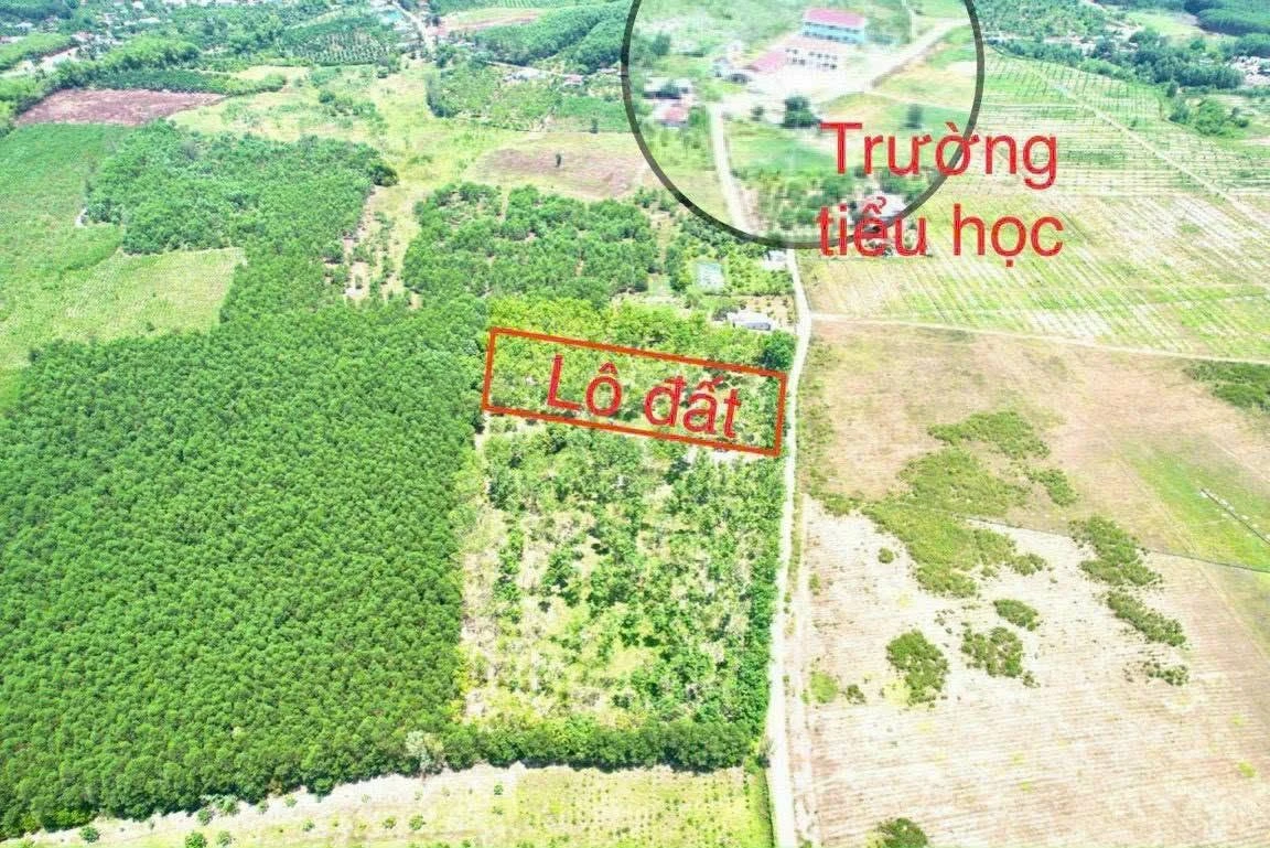 Bán đất Khánh Đông 1432m² chỉ 750 triệu - Ảnh thu nhỏ 3