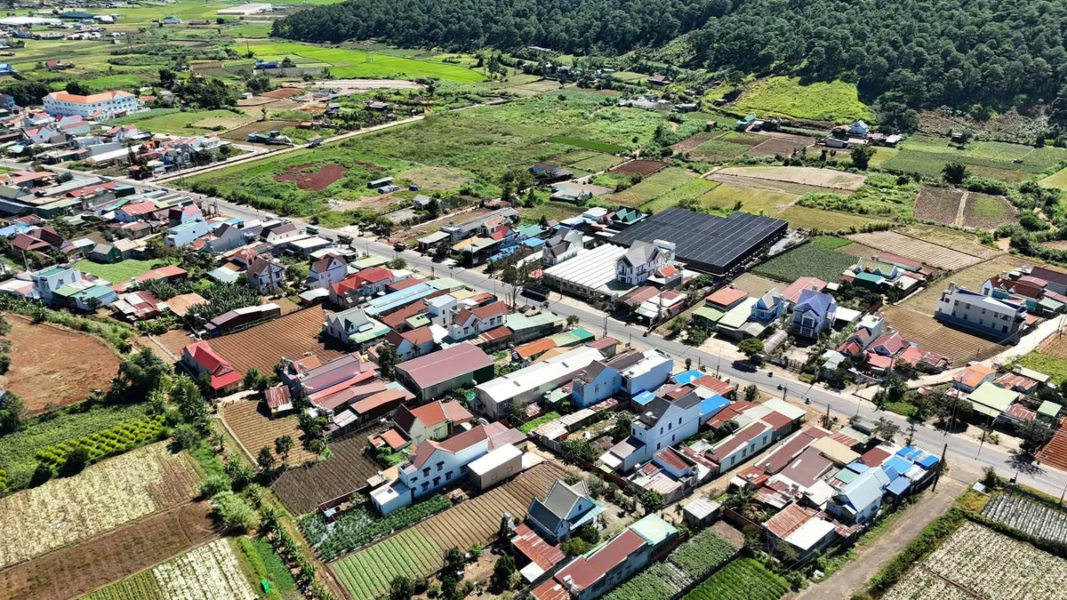 Bán đất Định An Lâm Đồng 100m² giáp Đà Lạt 1,76 tỷ - Ảnh thu nhỏ 5