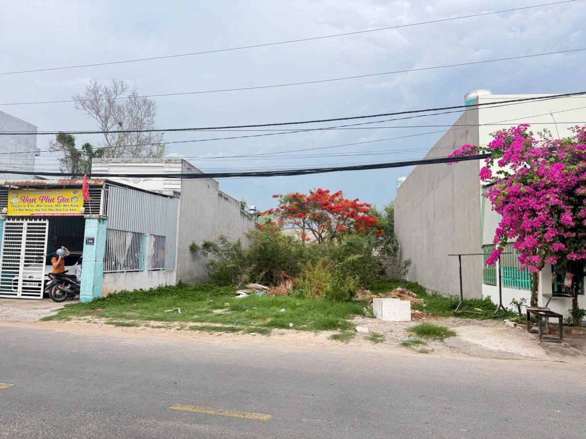 Bán lô đất mặt tiền Phạm Thị Ngư, Phan Thiết, 132m² - Ảnh thu nhỏ 4