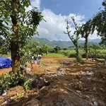 Bán đất 622m² Cao Phong, Hòa Bình giá 599 triệu - Ảnh thu nhỏ 2