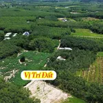 Bán đất 9.400m2 tại Phường Chơn Thành, Bình Dương - 3 tỷ - Ảnh thu nhỏ 4
