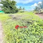 Bán đất vườn view kênh Bạch Ngưu 10x33m, 330m² Nhà Bè - Ảnh thu nhỏ 5