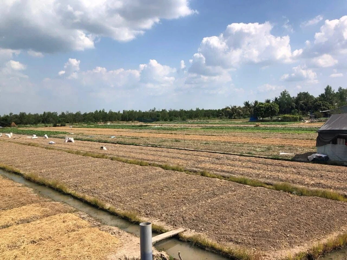 Bán 8500m2 đất Bình Tân Vĩnh Long - 350tr/1000m2 - Ảnh thu nhỏ 3