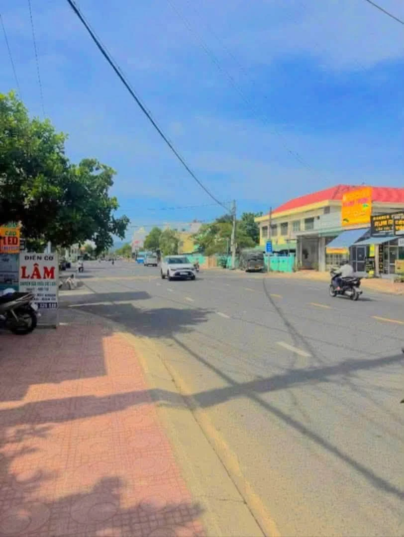 Bán đất mặt tiền Trần Quý Cáp 213,9m2 Ninh Hòa - Ảnh thu nhỏ 2