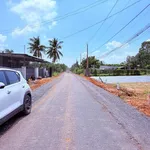 Bán đất Bình Chánh Thành Châu 50m2 390 triệu - Ảnh thu nhỏ 3