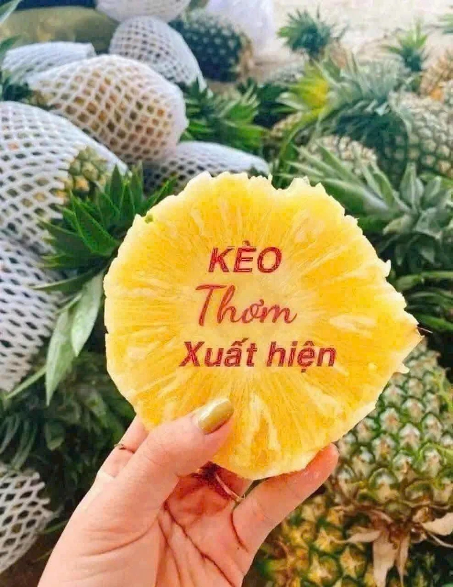 Bán đất Tam Phước Đồng Nai 90m² sổ riêng 1 tỷ - Ảnh thu nhỏ 2