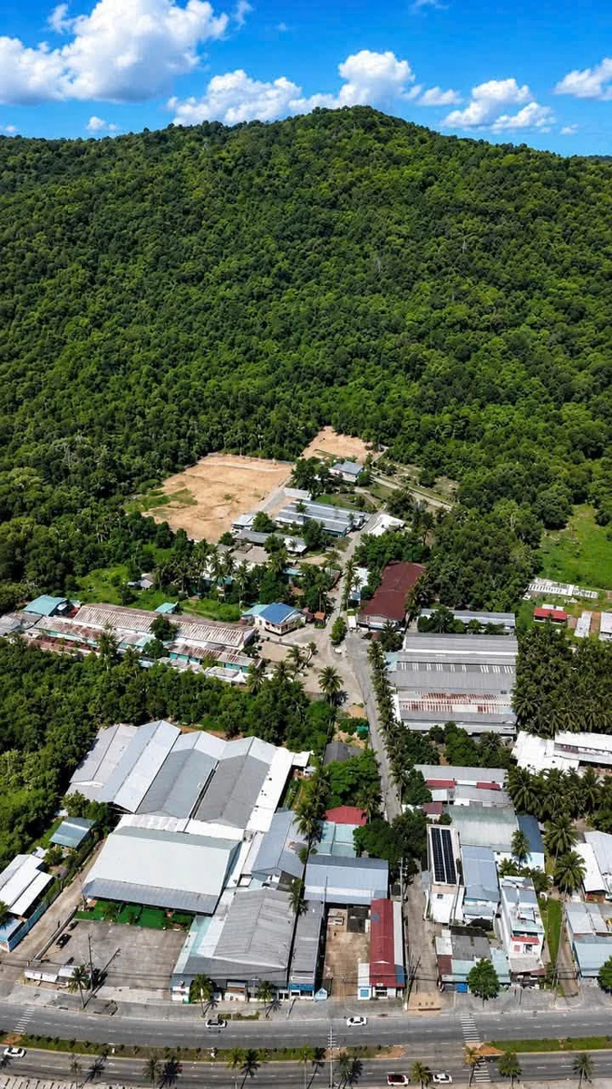 Bán đất Dương Đông Phú Quốc 1000m2 giá 8 tỷ - Ảnh thu nhỏ 2