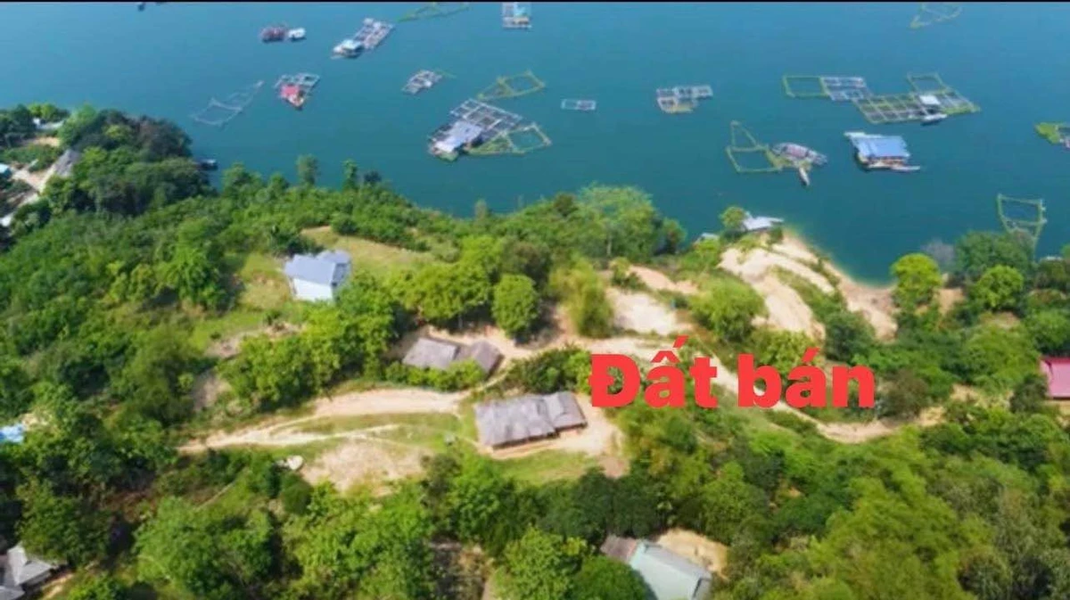 Bán đất 770m view Hồ Hòa Bình tại Bản Ngòi, Phú Thọ - Ảnh thu nhỏ 3