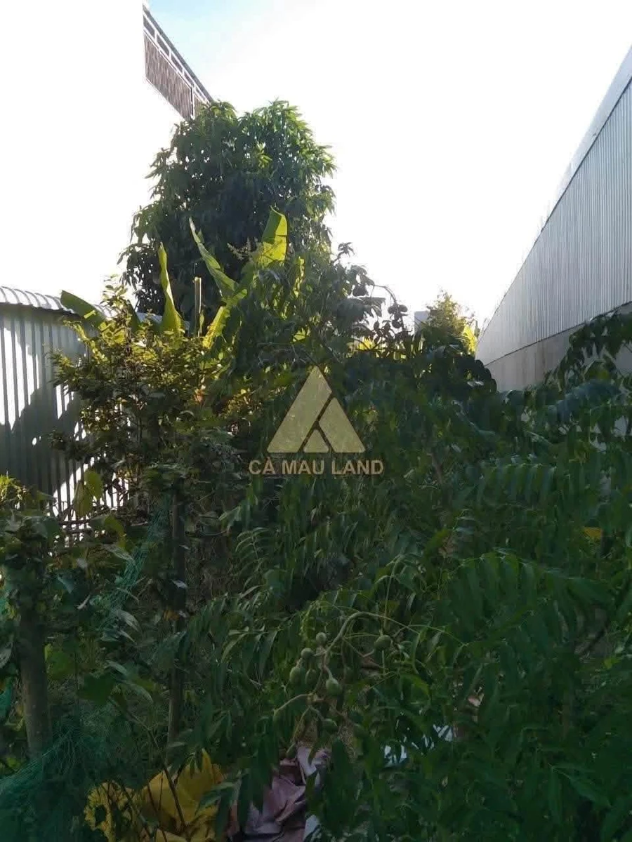Bán đất mặt tiền Lê Đức Thọ 95m² 1 tỷ 2, Cà Mau - Ảnh thu nhỏ 3
