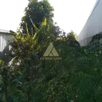 Bán đất mặt tiền Lê Đức Thọ 95m² 1 tỷ 2, Cà Mau - Ảnh thu nhỏ 3