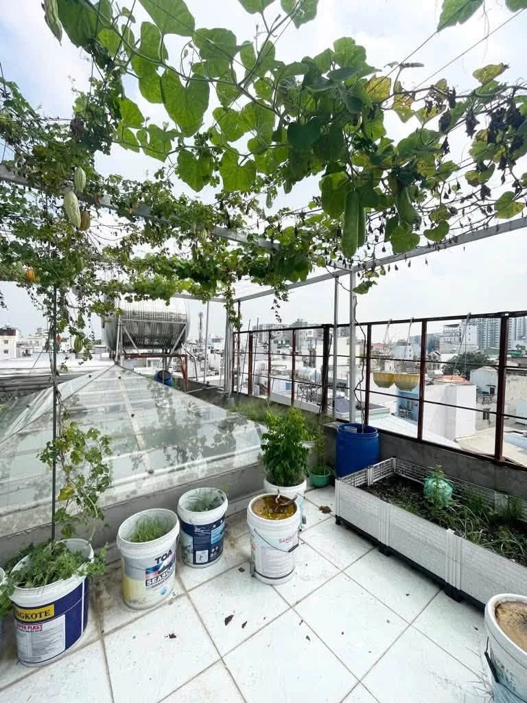 Bán nhà 4 tấm 6PN 5WC 80m² Tân Phú 8 tỷ - Ảnh thu nhỏ 4