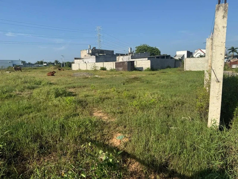 Bán đất 1.777,5 m² Khu Cá Đồng Hàm Thắng Bình Thuận 13 tỷ