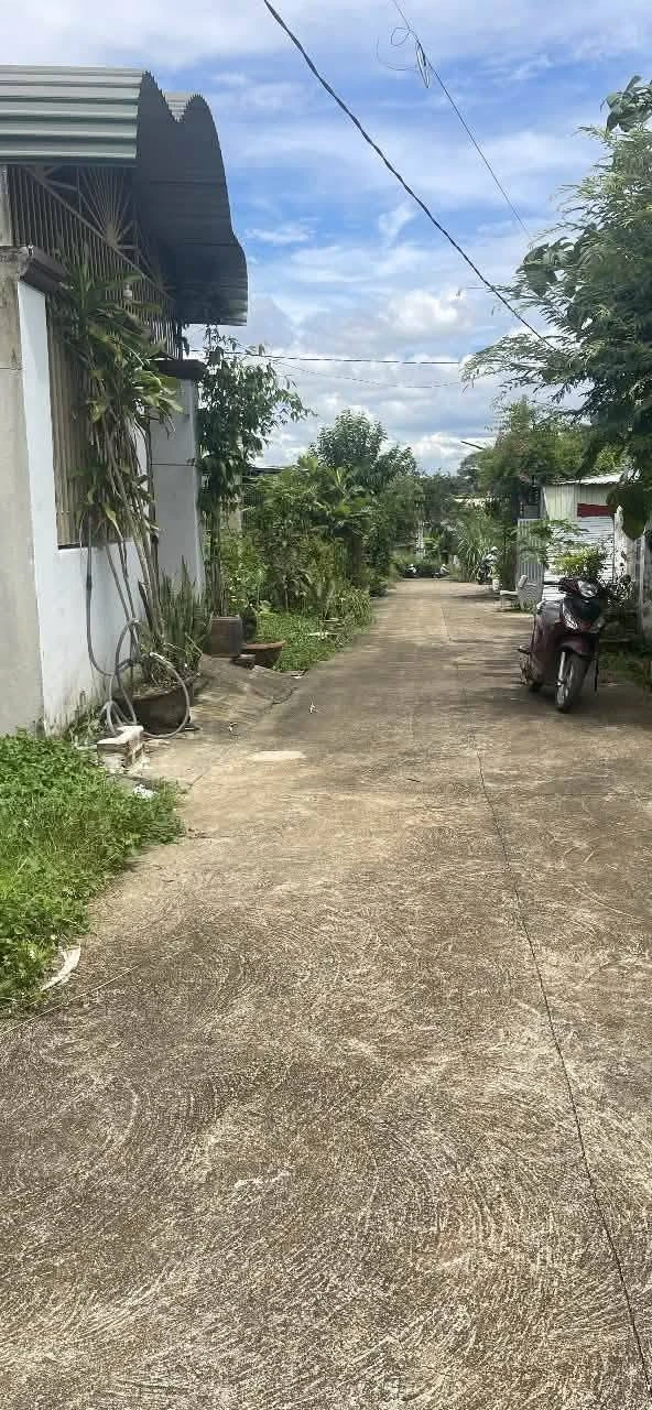 Bán đất nông nghiệp hẻm 162 Nguyễn Thị Định, 165m², 290 triệu - Ảnh 1