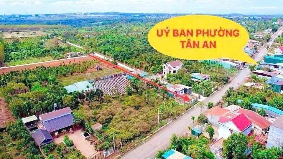 Bán đất 125m² mặt tiền Phường Tân An, Bình Chánh - Ảnh thu nhỏ 2