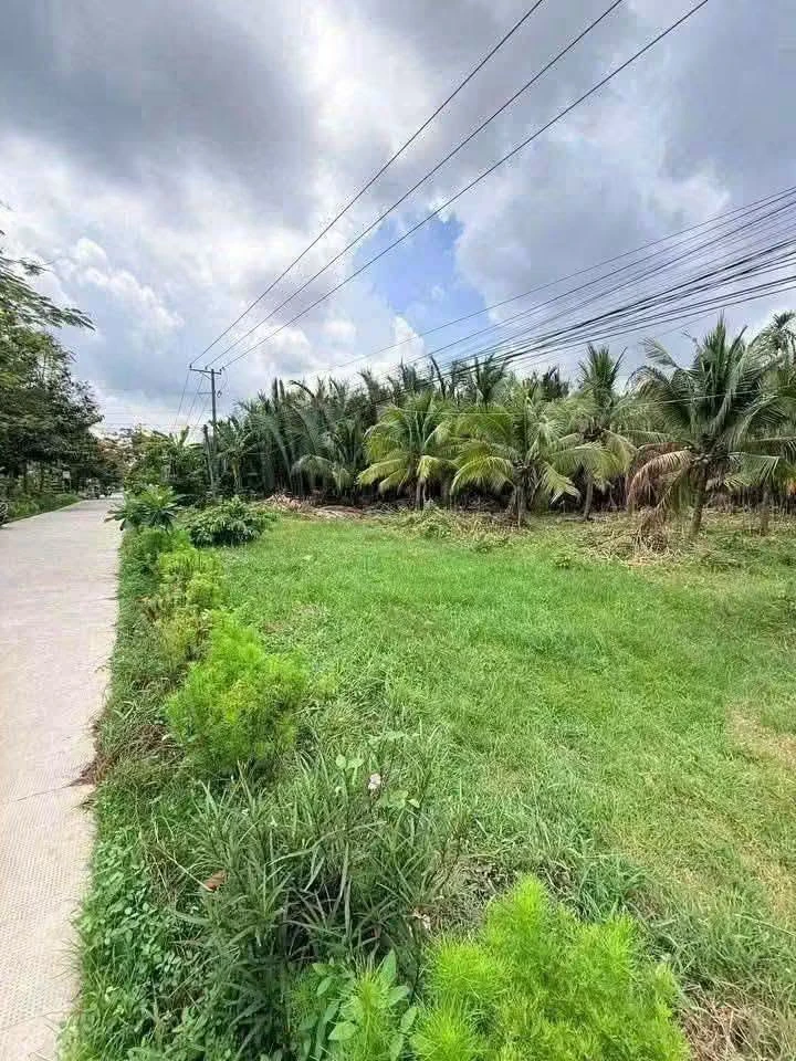Bán đất mặt tiền Bến Tre 1336m2, giá 1 tỷ 850 triệu - Ảnh thu nhỏ 2