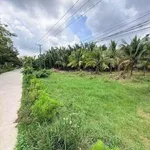 Bán đất mặt tiền Bến Tre 1336m2, giá 1 tỷ 850 triệu - Ảnh thu nhỏ 2
