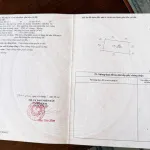 Chính chủ bán gấp 5600m2 đường Tỉnh 881 nhựa 10m, cách Phà Mỹ An 1km,giá 1tr160/m2 - Ảnh thu nhỏ 28