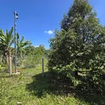 Bán vườn trái cây giáp Suối Lớn - có sẵn thổ cư - mặt tiền bê tông - Khu dân cư - Ảnh thu nhỏ 9