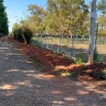 Bán đất 500m2 Nguyễn Xuân Nguyên, Phường Tân An - Ảnh thu nhỏ 2