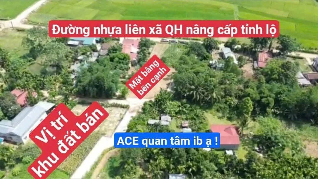 Bán đất nền Mỹ Tân Ngọc Lặc 115m² giá 60 triệu - Ảnh thu nhỏ 3