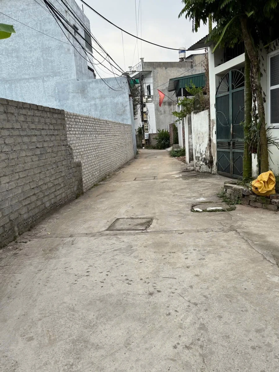 Bán lô góc 73,2m2 mặt tiền 4m Hải Phòng - Ảnh thu nhỏ 5