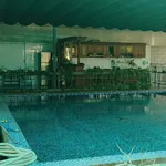 Bán đất 530m2 có sân vườn hồ bơi tại Phú Hưng, TP Bến Tre, giá 1,25 tỷ - Ảnh thu nhỏ 4