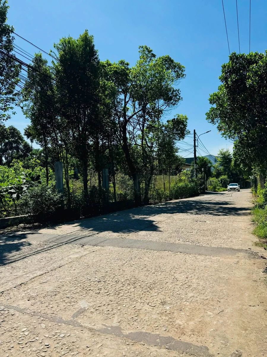 Bán đất 2 mặt tiền Vũ Ngọc Phan 207m2, giá 2,5 tỷ - Ảnh thu nhỏ 5