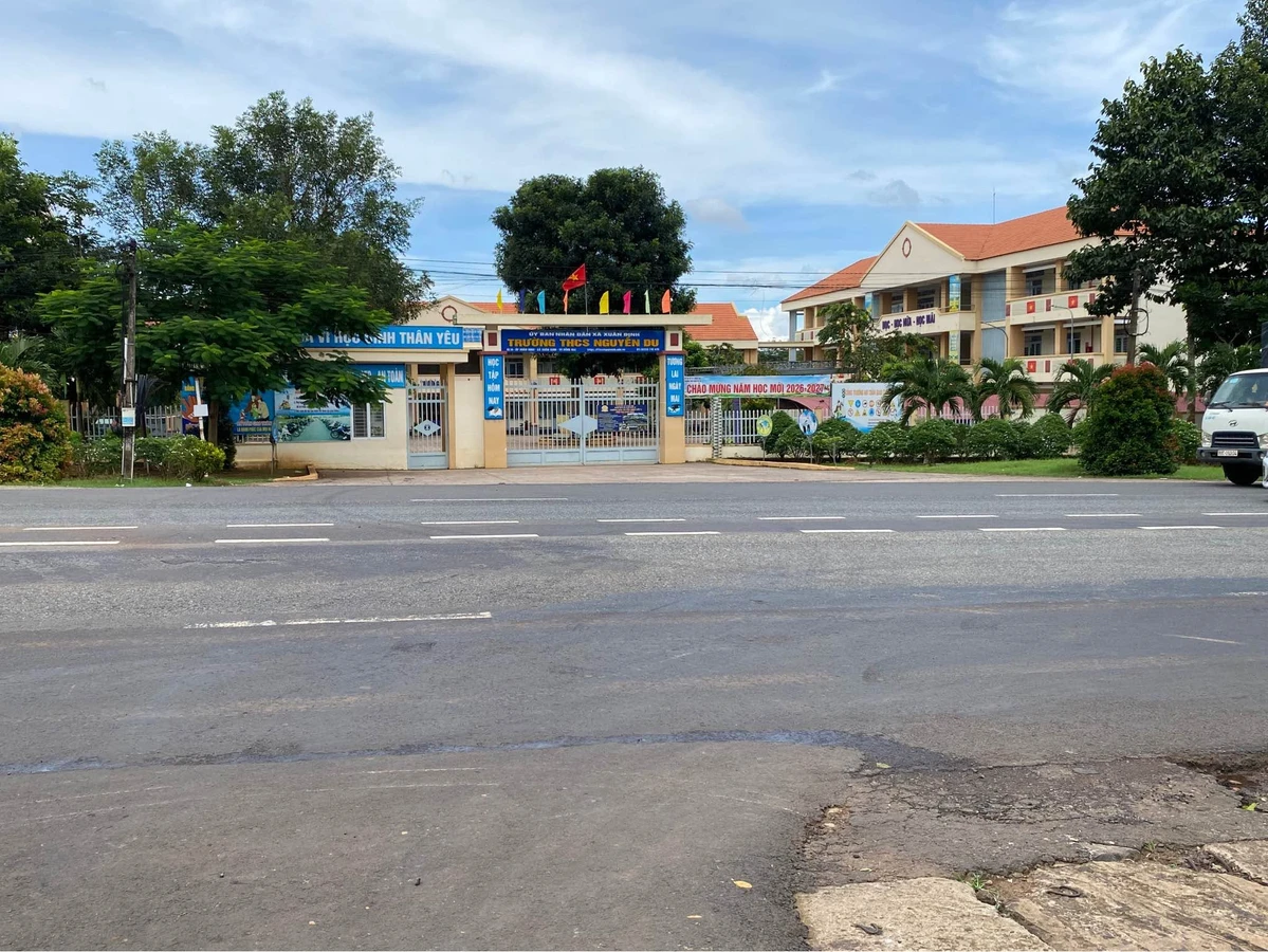 Bán đất 110m² giá 155 triệu Long Khánh - Ảnh thu nhỏ 3