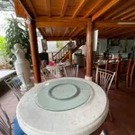 Bán đất tại TP Yên Bái, DT 8033 m2 có 887m thổ cư, giá cực hợp lý 17.5 tỷ - Ảnh thu nhỏ 7