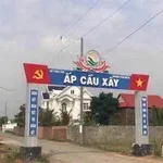 Bán đất lúa 1300m² giá 370 triệu/1000m² Tân Lân - Ảnh thu nhỏ 1