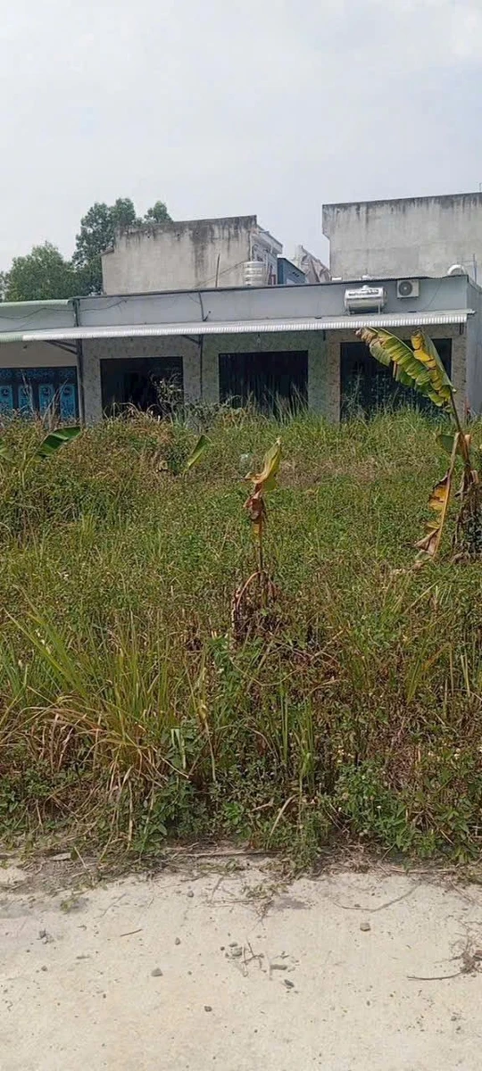 Bán lô đất 40m² Hóc Môn gần chợ Thanh Hóa - Ảnh 1