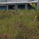 Bán lô đất 40m² Hóc Môn gần chợ Thanh Hóa - Ảnh thu nhỏ 1