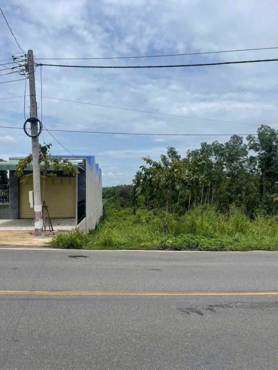 Bán lô đất 1000m2 mặt tiền đường 768 Đồng Nai - Ảnh thu nhỏ 3