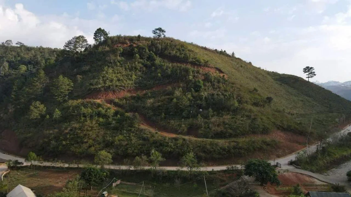 Bán lô đất view rừng thông và hồ 1080m² Đà Lạt - Ảnh thu nhỏ 5
