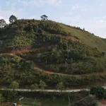 Bán lô đất view rừng thông và hồ 1080m² Đà Lạt - Ảnh thu nhỏ 5