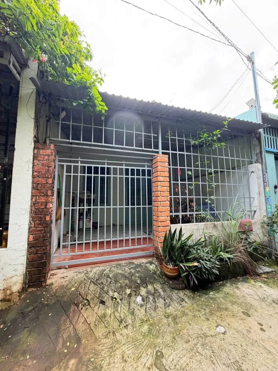 Bán nhà cấp 4 100m² 2PN gần chợ Kênh Bào Phan Thiết - Ảnh 1