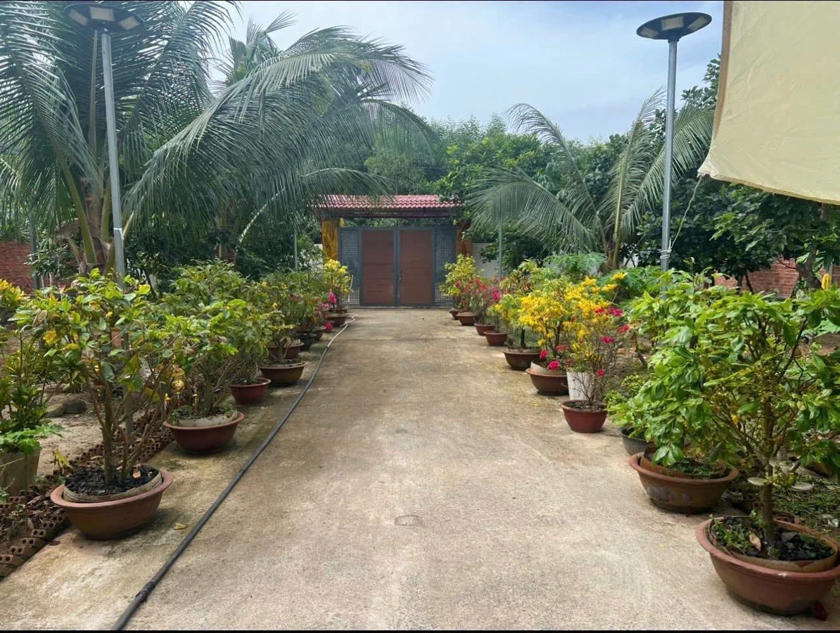 Bán đất vườn Lộc An 1537m2, Bà Rịa - Vũng Tàu, 5tỷ4 - Ảnh thu nhỏ 4
