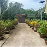 Bán đất vườn Lộc An 1537m2, Bà Rịa - Vũng Tàu, 5tỷ4 - Ảnh thu nhỏ 4