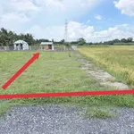 Bán đất nền nhánh ô tô đường Nguyễn Đáng nối dài, Nguyệt Hoá, Trà Vinh, 5x30,5m giá 480 triệu - Ảnh thu nhỏ 3