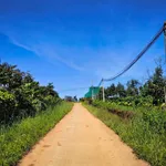 Bán đất 3ha sổ sách trồng sầu riêng cafê Lâm Đồng - Ảnh thu nhỏ 1