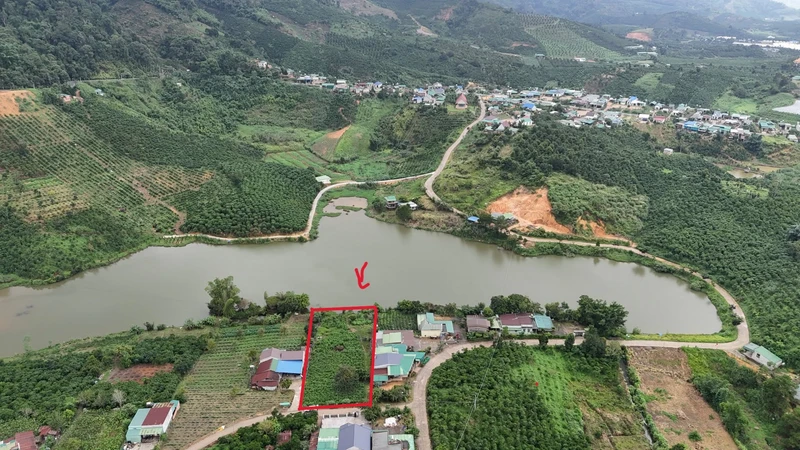 Bán đất Đạm Rông 1 Lâm Đồng 8000m2, 2 tỷ 250 triệu