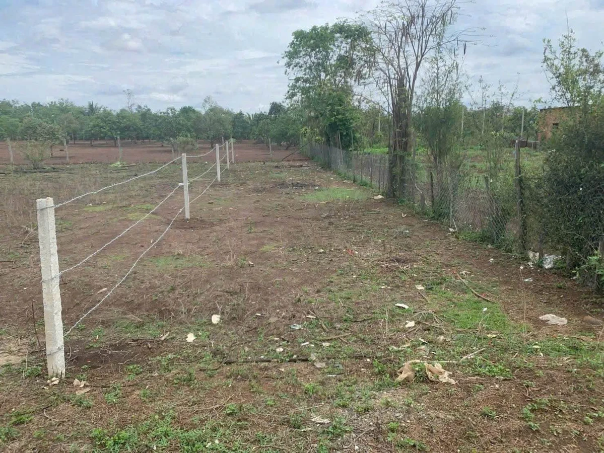Bán đất nền 5x26m Tân Hưng Eakao 1,09 tỷ - Ảnh thu nhỏ 2